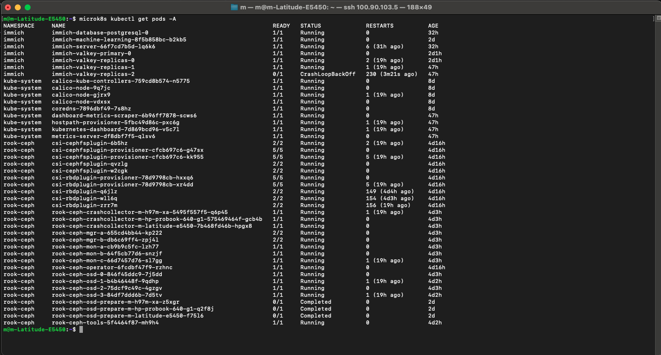 A Kubernetes pod status screen showing the Immich Gauntlet. While most services are running, the pod immich-valkey-replicas-2 is clearly visible in a CrashLoopBackOff state with 230 restarts, documenting the real-world difficulty of the deployment.